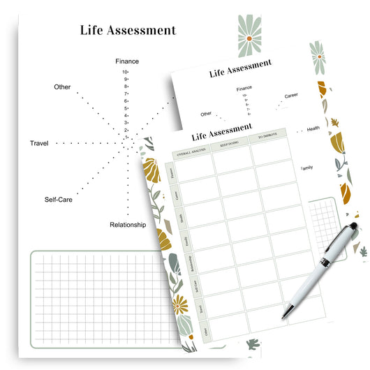 Life Assessment Tracker Printable Tracia Creative   