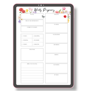 Empowering Pregnancy Experience Tracker
